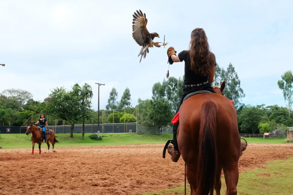 Dreams Park Show - Dreams Eco Park - Birds of Prey Flights - Foz do Iguaçu